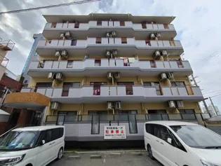 ダイヤモンドメゾン高井田【5階】の外観