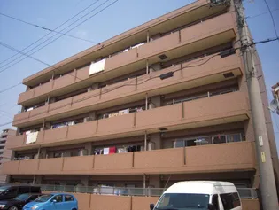 ベルラフィネの画像