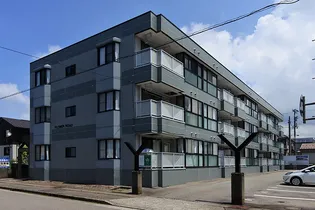 フラワァーロードの画像