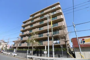 フォレストの画像