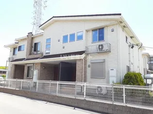 ホーリーの画像