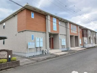 プラシードAの画像