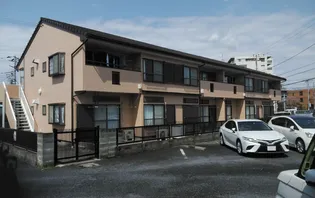 アネックス87の画像