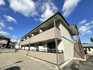 シャンテコスモスの画像