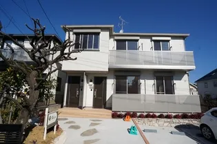 HILO ヒロの画像