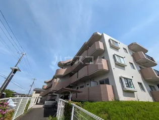 アネックスの画像