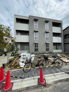 THE ETERNAL CHRYSANTHEMUMの画像