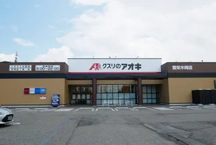 PINI-OYAMA【1階】の周辺