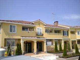 エバーグリーンAの画像