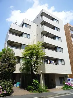 ラヴィーナ門前仲町の画像