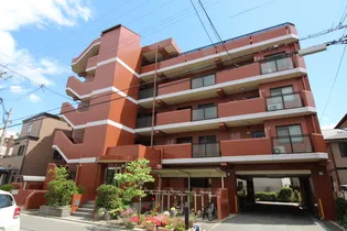 ルミエール7の画像