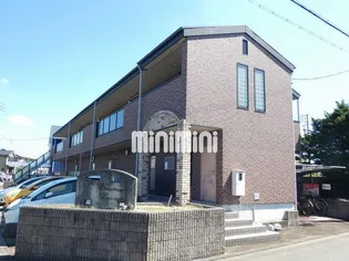 マメゾンサンパティークの画像