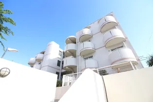 コロナール上野西の画像