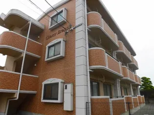 チェリーブランチの画像