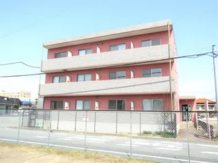 はなみずきの画像