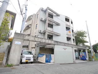 EASY BOX 稲の画像