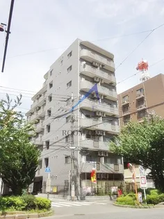 ベルグラン プルーネの画像
