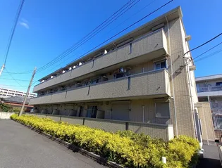 オーパスの画像