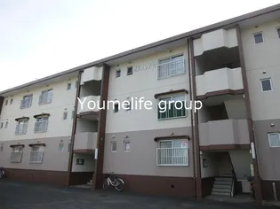 椿ハイツの画像