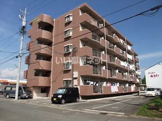 マンションマスカットの画像