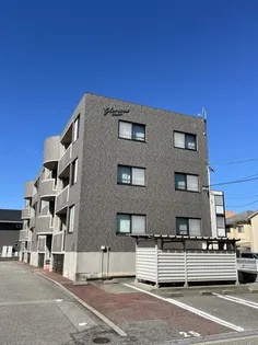 グロリアスの画像