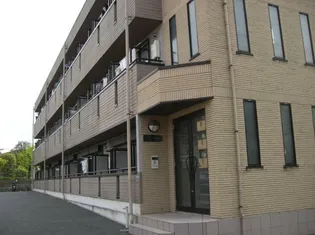 サンマルゴの画像