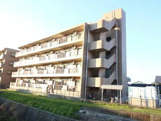 ティナ大塚の画像