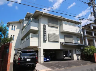 ユングフラウ南禅【4階】の外観