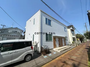 カトンテールの画像