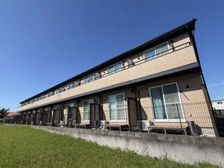 ALSACEの画像
