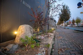 メゾンド駅南の画像