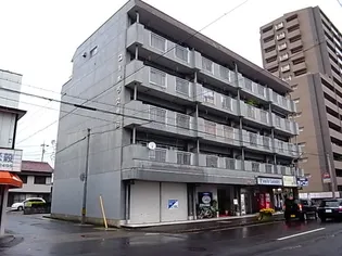 岐阜県岐阜市早田栄町2【マンション】の外観