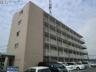 ドエルウィステリアの画像