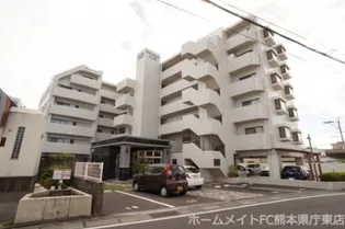 熊本県熊本市中央区渡鹿4【マンション】の外観