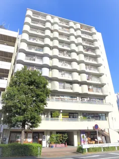 セブンスターマンション第2大森【11階】の外観