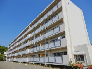 ビレッジハウス大田1号棟【4階】の外観