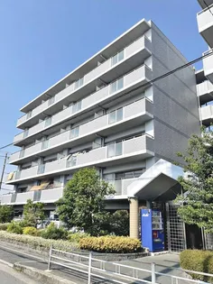 大阪府大阪市平野区加美東1【マンション】の外観