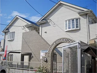 ゼフィルスタカシマの画像