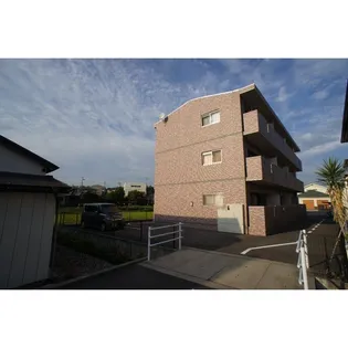 グレイスの画像