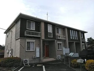 ソレイユの画像