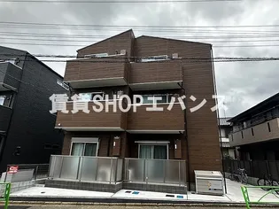 ウンベラータの画像