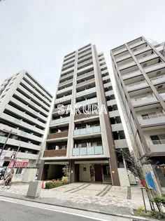 DORMOUSE 和の画像