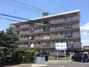 ブロッサムビルの画像