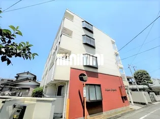 ハイムコスモスの画像