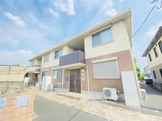 ウッド チェリーの画像