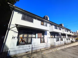 エクセレンストキAの画像