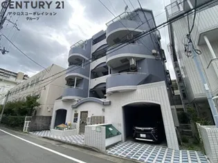 トレンディ立花の画像