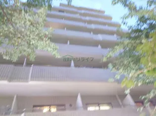 ドエル ピュアネスの画像