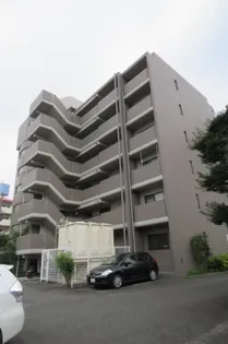 パレエレガンテの画像