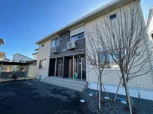 パブロハニー Aの画像